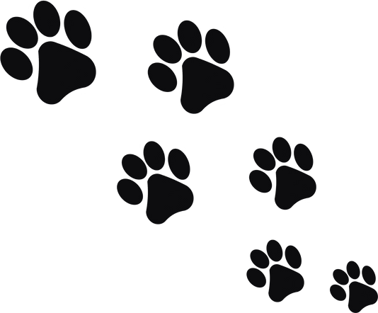 Dog Paw Prints Illustration 